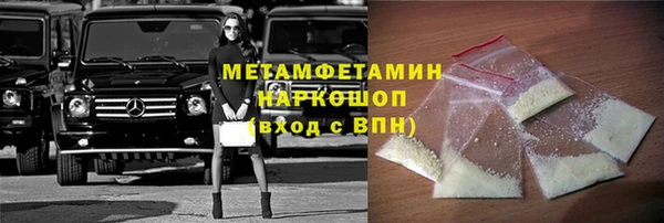 прущие грибы Медвежьегорск