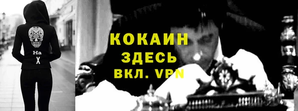 прущие грибы Медвежьегорск