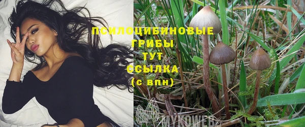 стафф Медногорск