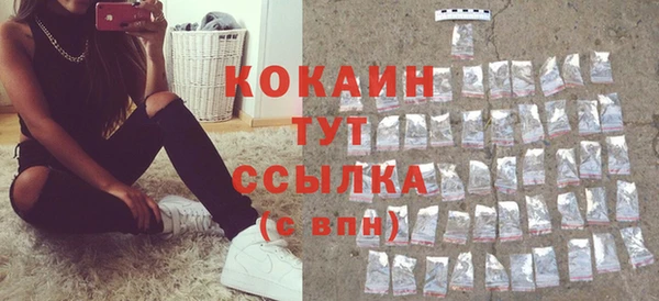 прущие грибы Медвежьегорск