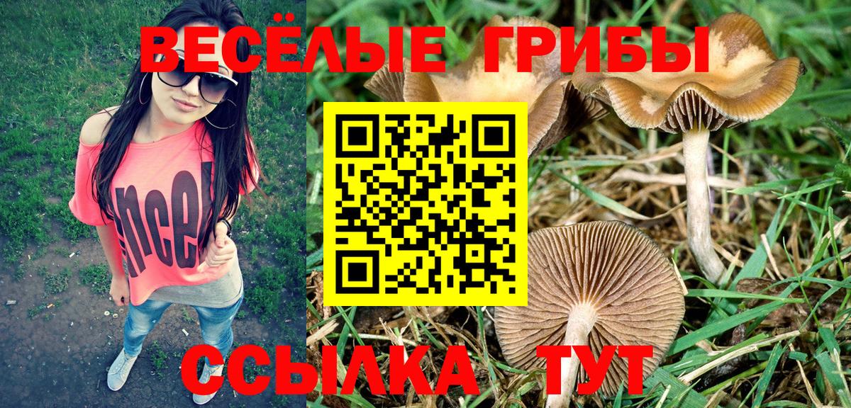 Псилоцибиновые грибы мухоморы Октябрьский