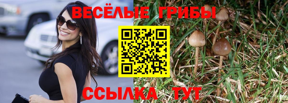 Псилоцибиновые грибы Psilocybine cubensis  Вход с VPN  Октябрьский  Псилоцибиновые грибы Cubensis 